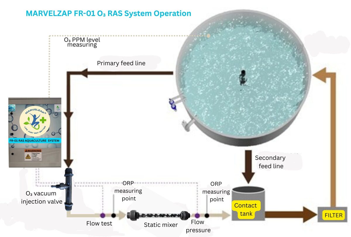 FR-01_fish_tank_operation.jpg